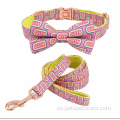 Diseño de collar y correa de corbata de lazo para mascotas personalizadas
